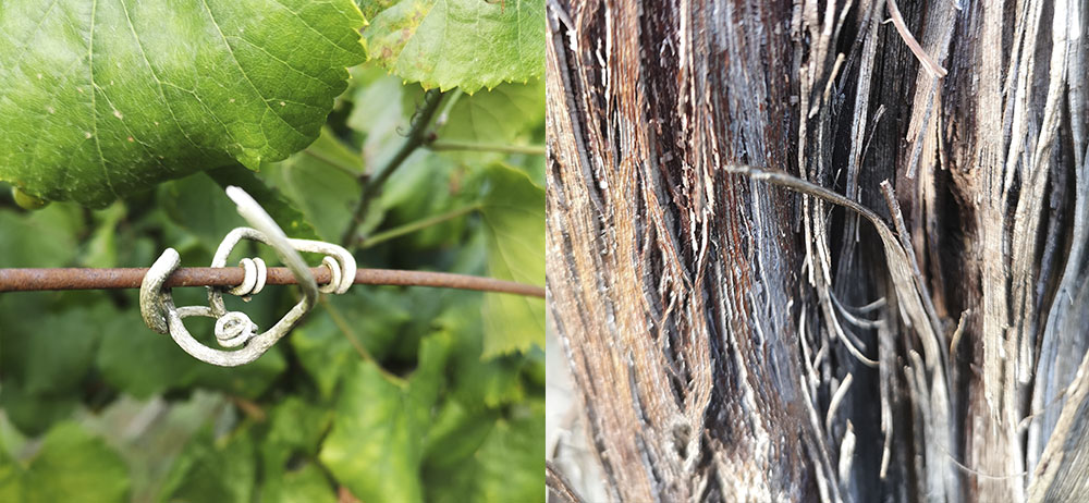 Fillaboa harmoniza tierra y mar en sus vinos blancos