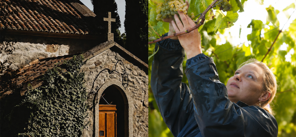 Capilla de piedra de la finca y vendimiadora recogiendo uvas albariño